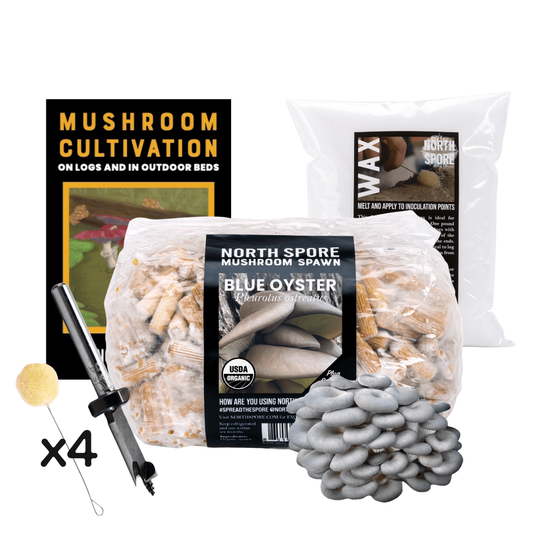 Plug Spawn Mushroom Log Beginner Kit