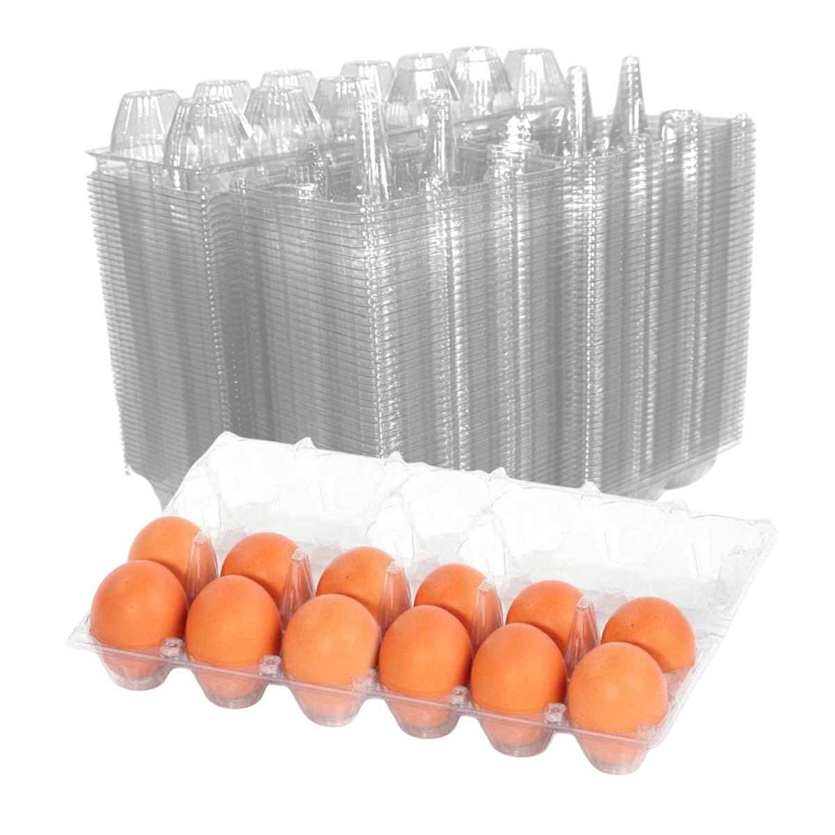 12-Egg Cartons - Clear Plastic