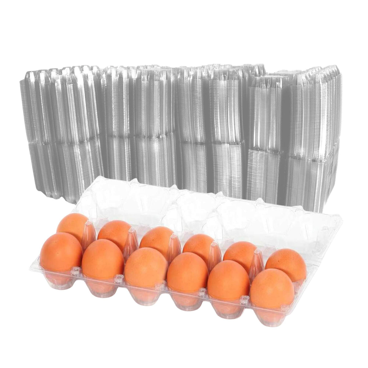 12-Egg Cartons - Clear Plastic