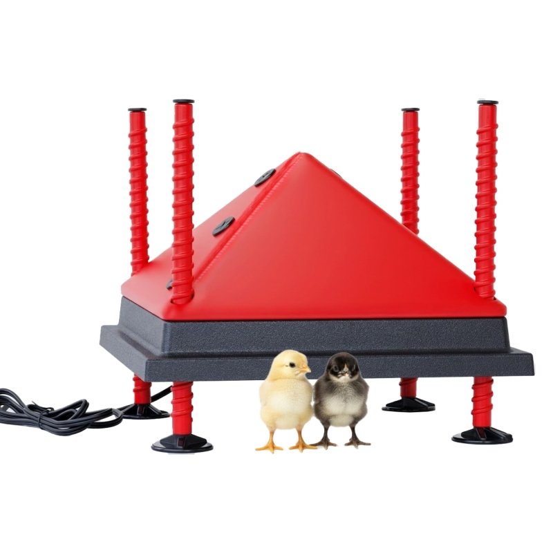 RentACoop 12x12” Adjustable Heating Plate with Bonus Foldable Anti-Roost Cone for up to 20 Chicks