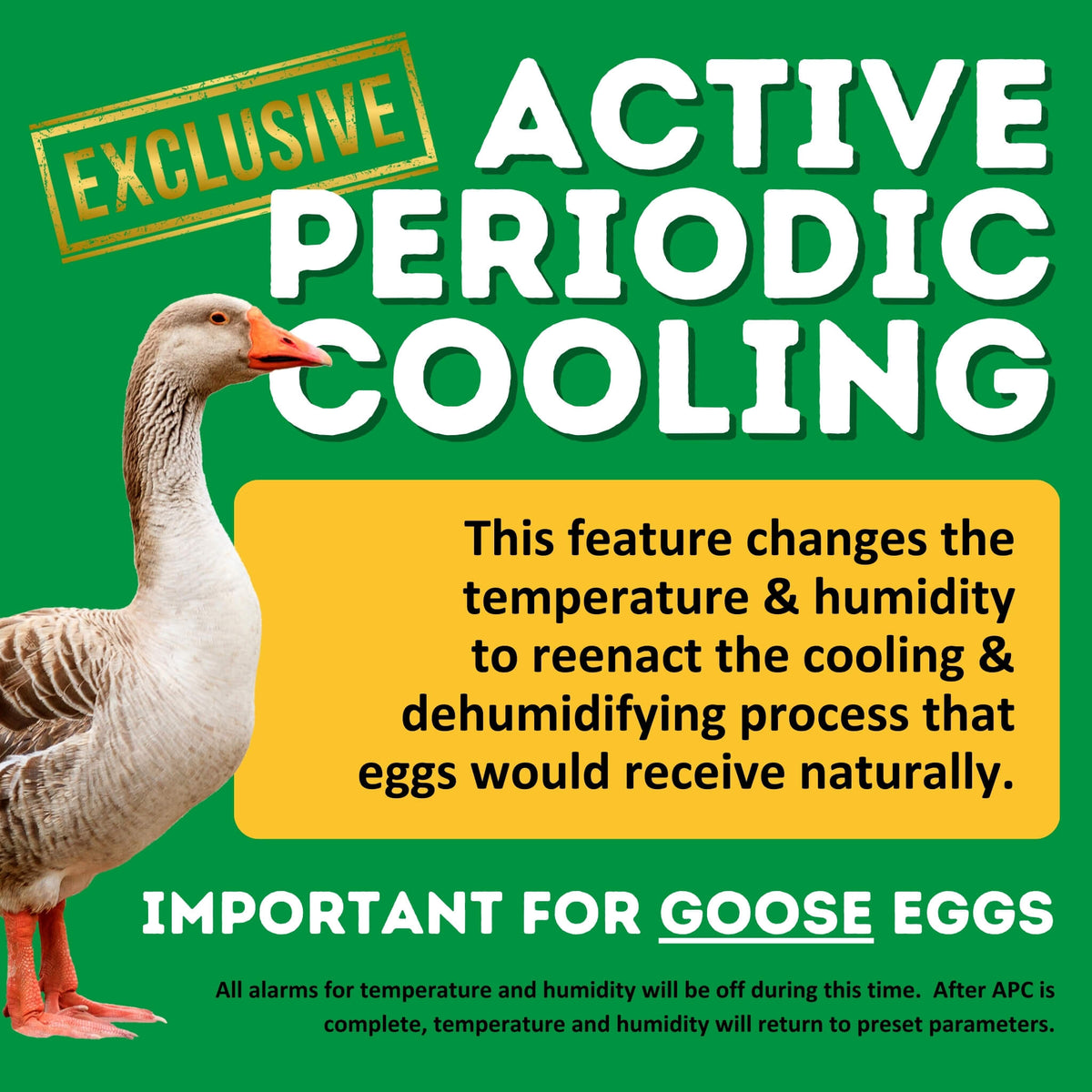 CT60 SH - Egg Incubator - Setter & Hatcher