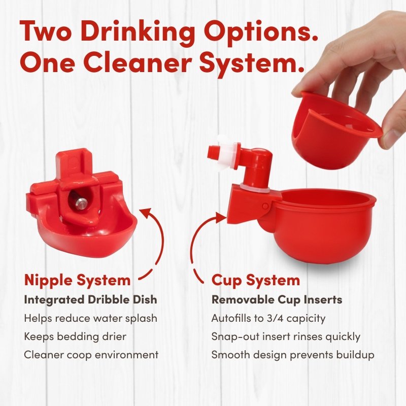RentACoop 2 Gallon Chicken Waterer with 4 Cups and 4 Nipples - Corner Placement