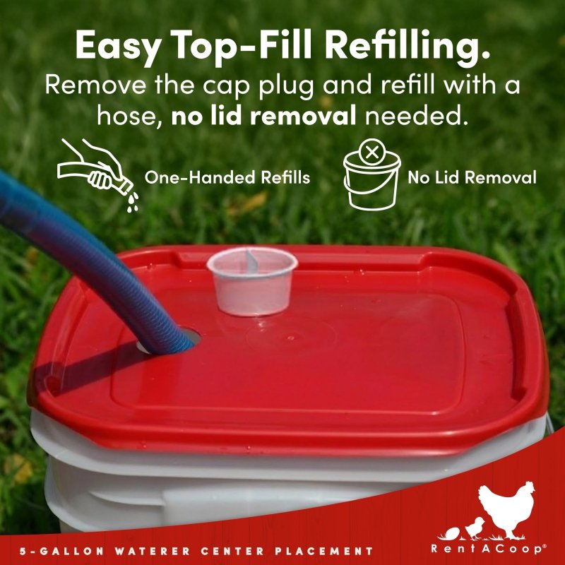 RentACoop 5 Gallon/ 6 Automatic-Fill Water Cup or Nipple Chicken Waterer with Adjustable Stand - Center Placement