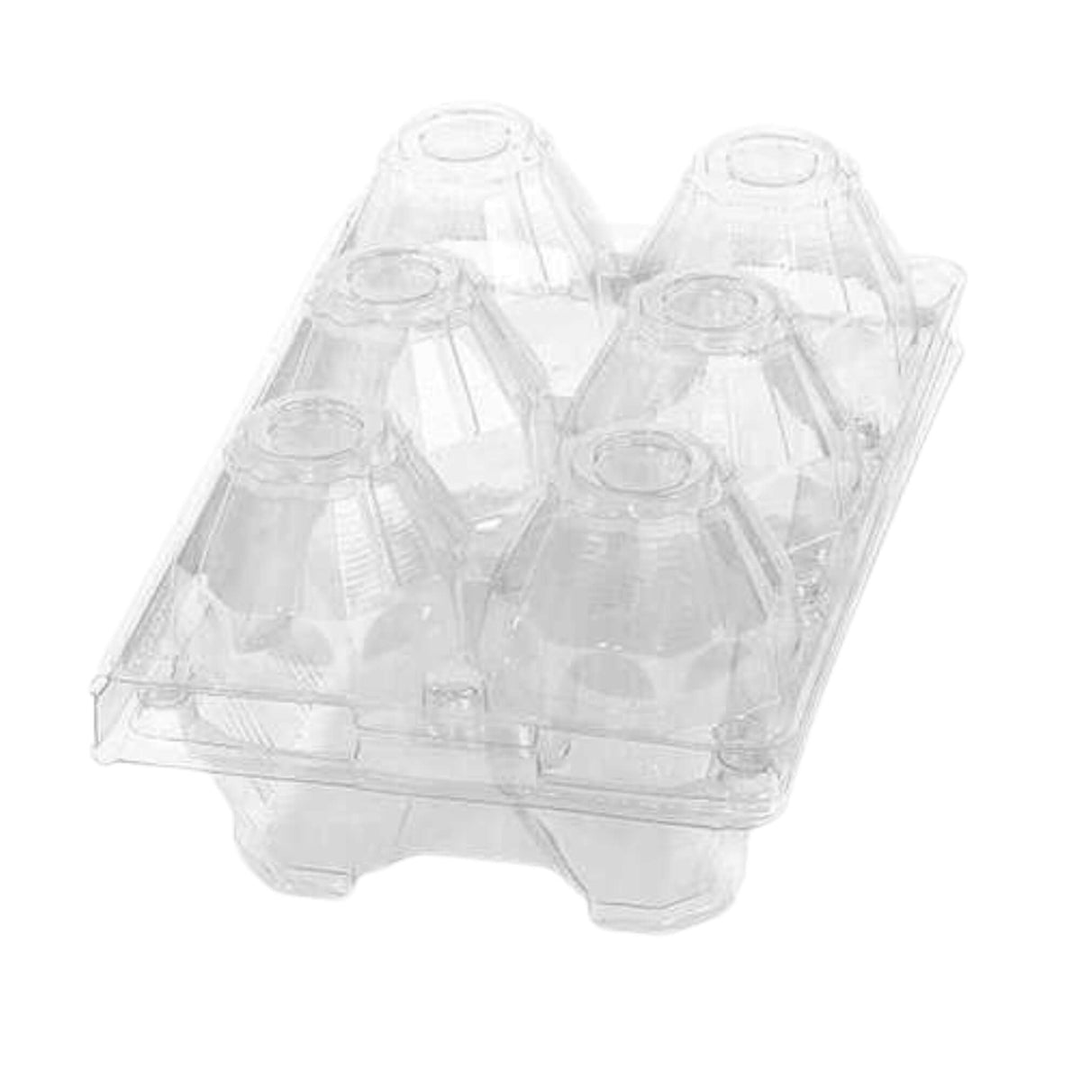 6-Egg Carton - Clear Plastic