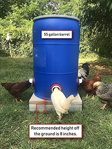 DIY Chicken Feeder