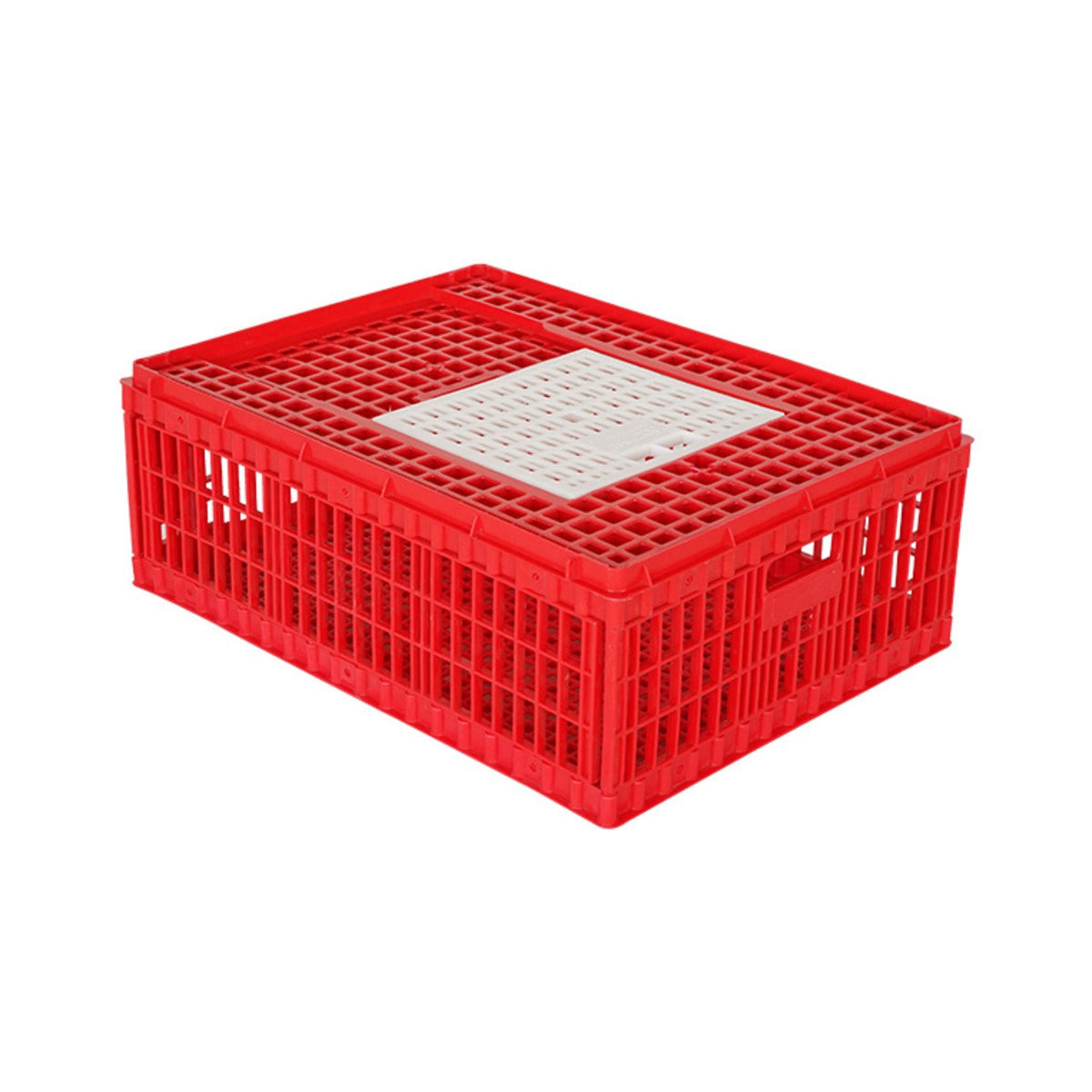Chicken Transport Coop (Medium) with Top Door