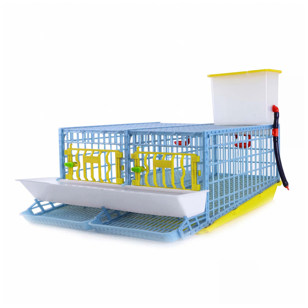 Quail Cage - 2 Section from Hatching Time