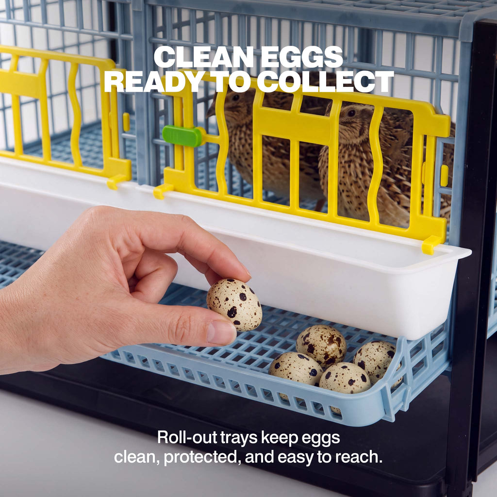 Quail Cage - Layer Addition