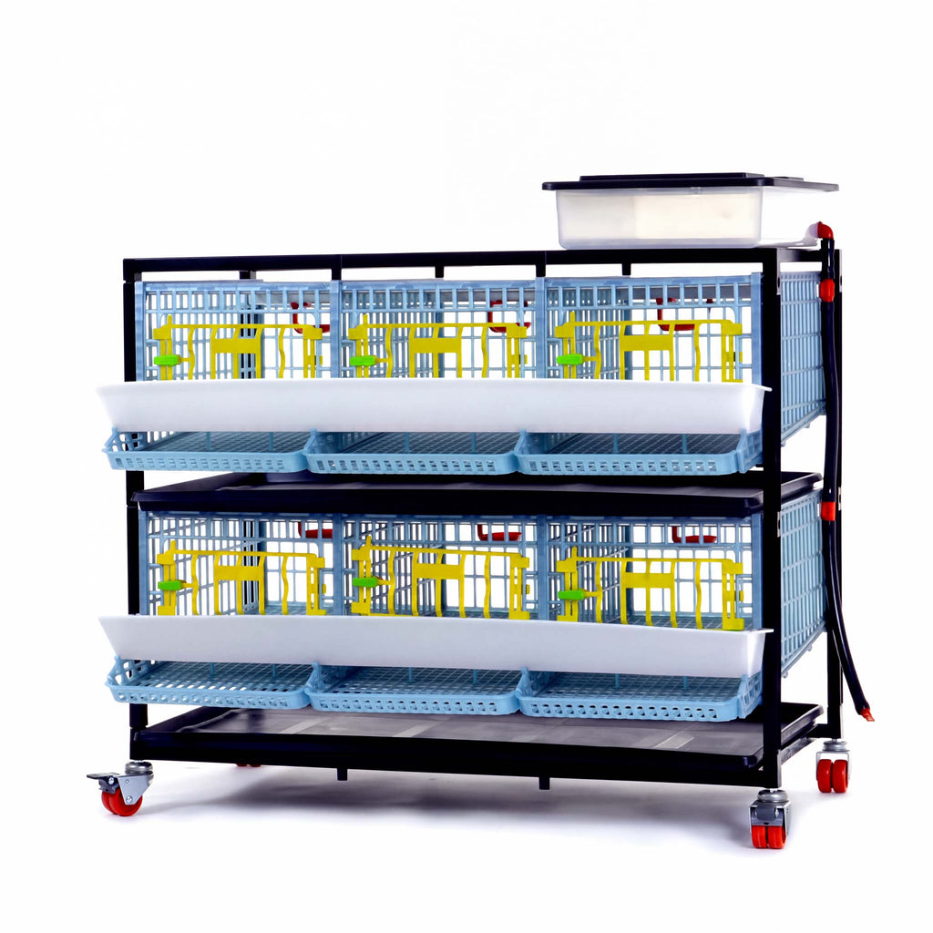 Quail Cage - 2 Layer