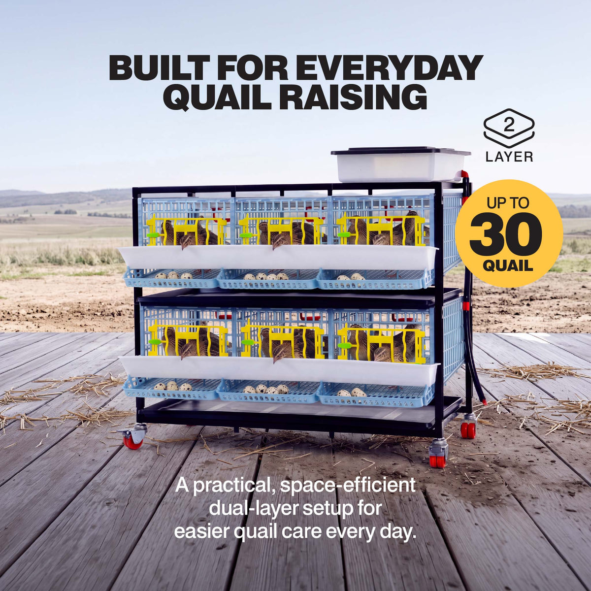 Quail Cage - 2 Layer