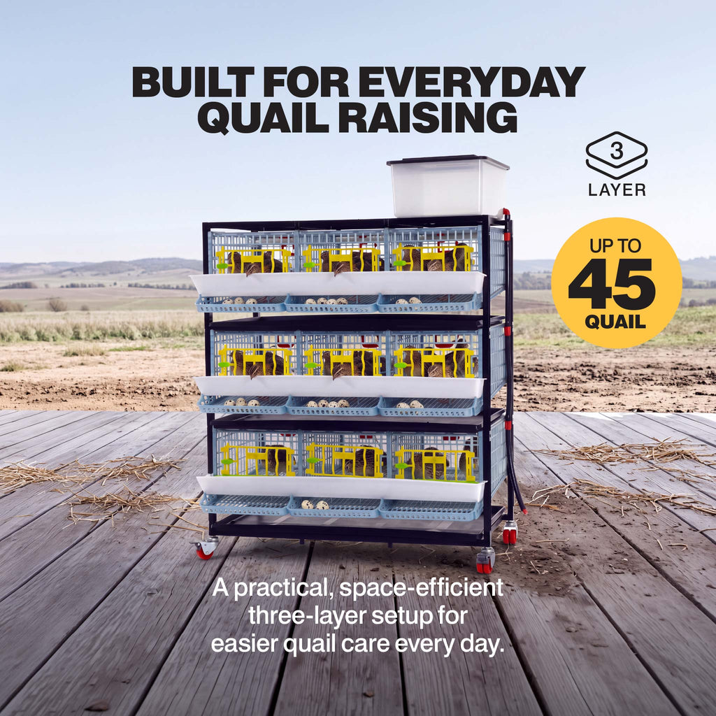 Quail Cage - 3 Layer
