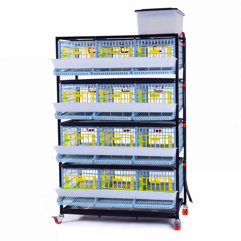 Quail Cage - 4 Layer