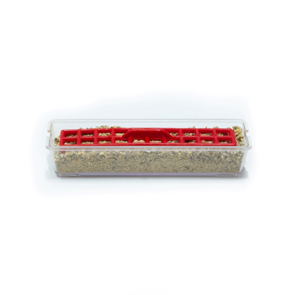 Baby Chick Starter Feeder