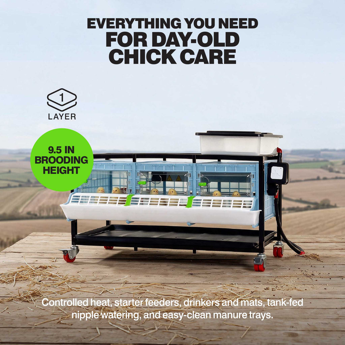 Chick Brooder - 1 Layer H: 9.5", photo 2