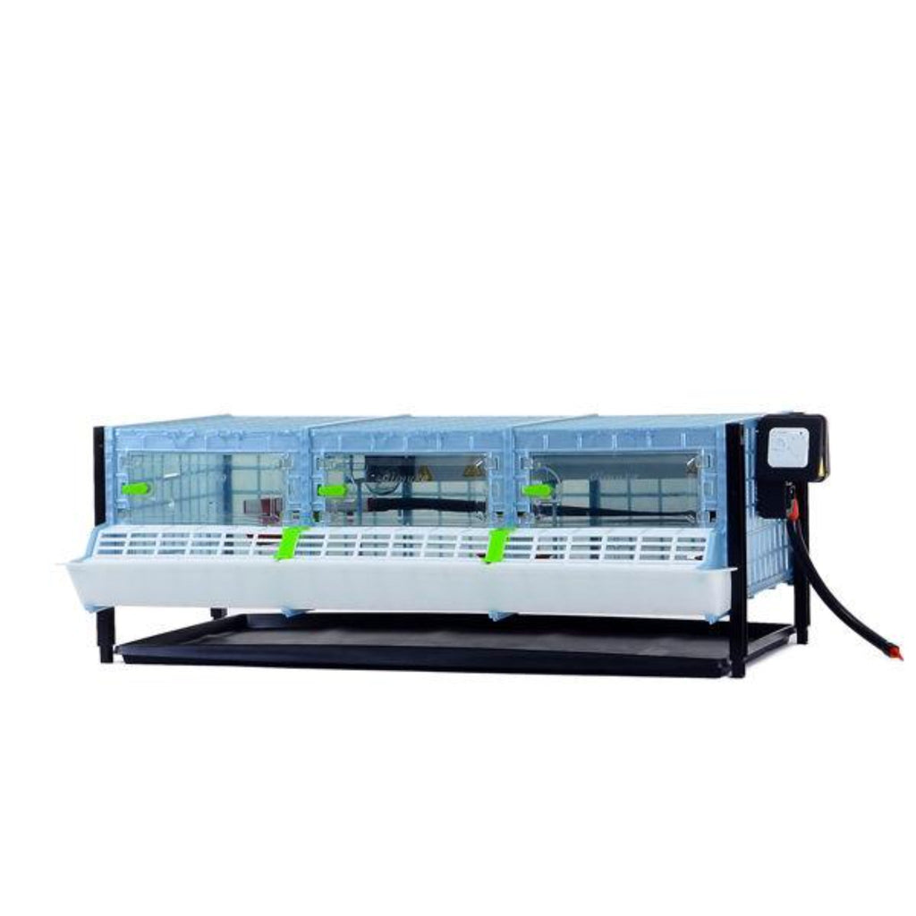 Chick Brooder - H:9.5" Layer Addition