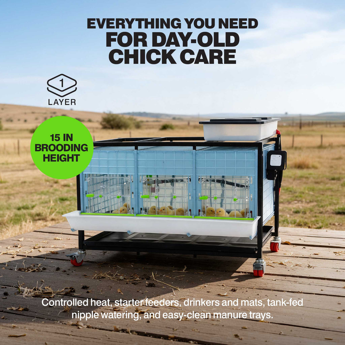 Chick Brooder - 1 Layer H: 15", photo 2