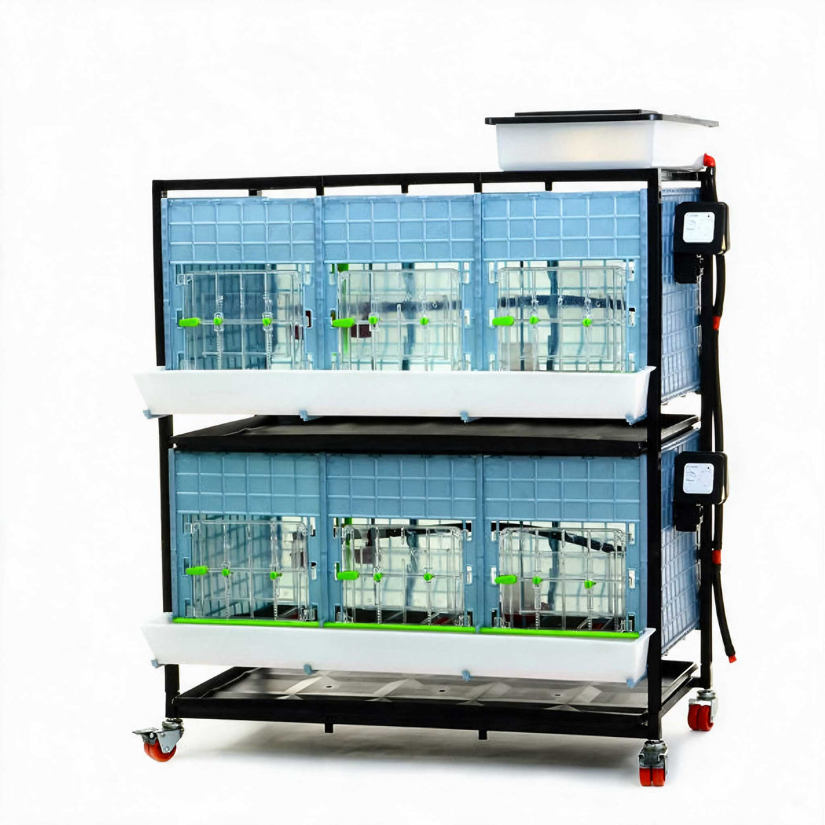 Chick Brooder - 2 Layer H: 15" from Hatching Time