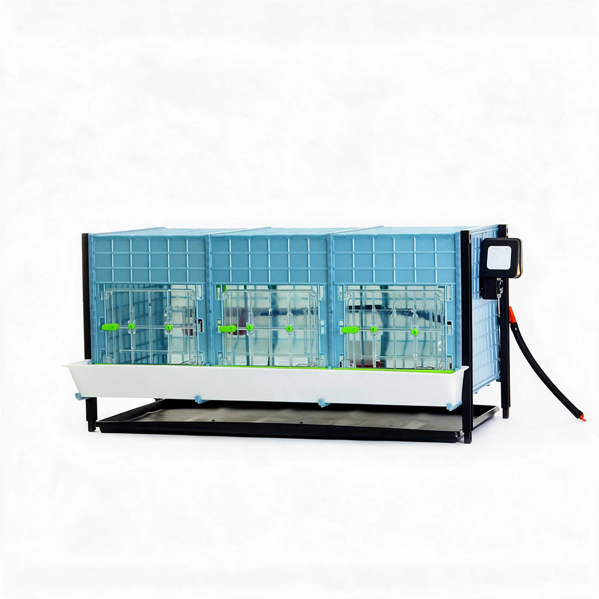 Chick Brooder - H:15" Layer Addition from Hatching Time