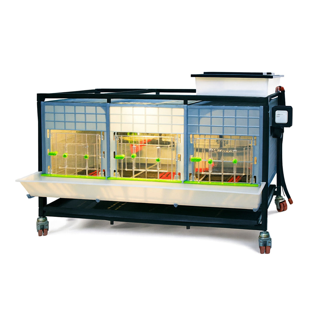 Chick Brooder - 1 Layer H: 15"