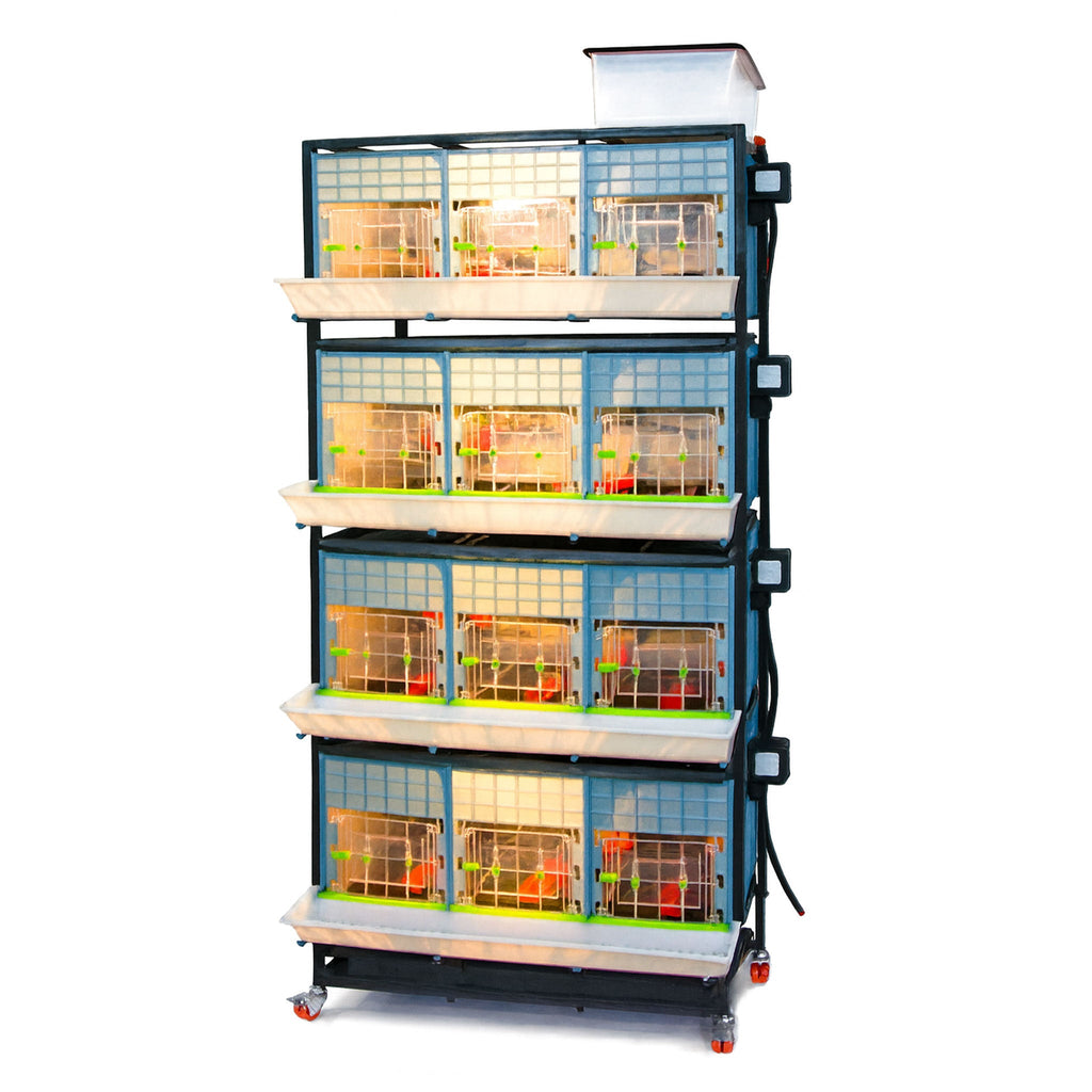 Chick Brooder - 4 Layer H: 15"
