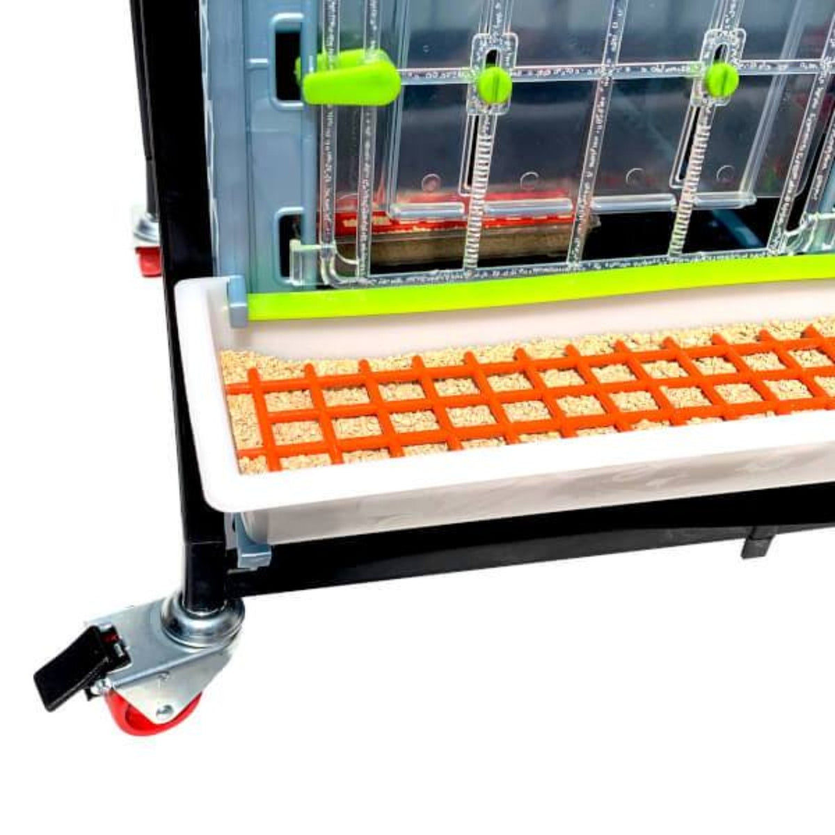 Chick Brooder - 3 Layer H: 15"