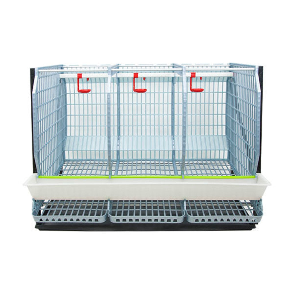 Chicken Cage - H: 22" Layer Addition