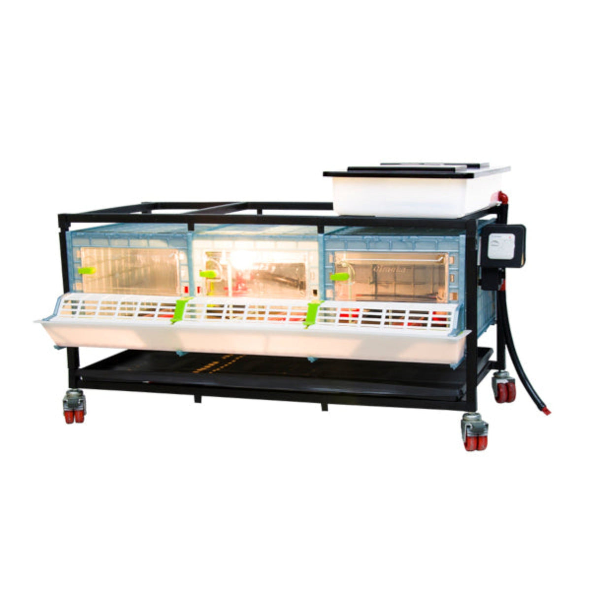 Chick Brooder - 1 Layer H: 9.5"