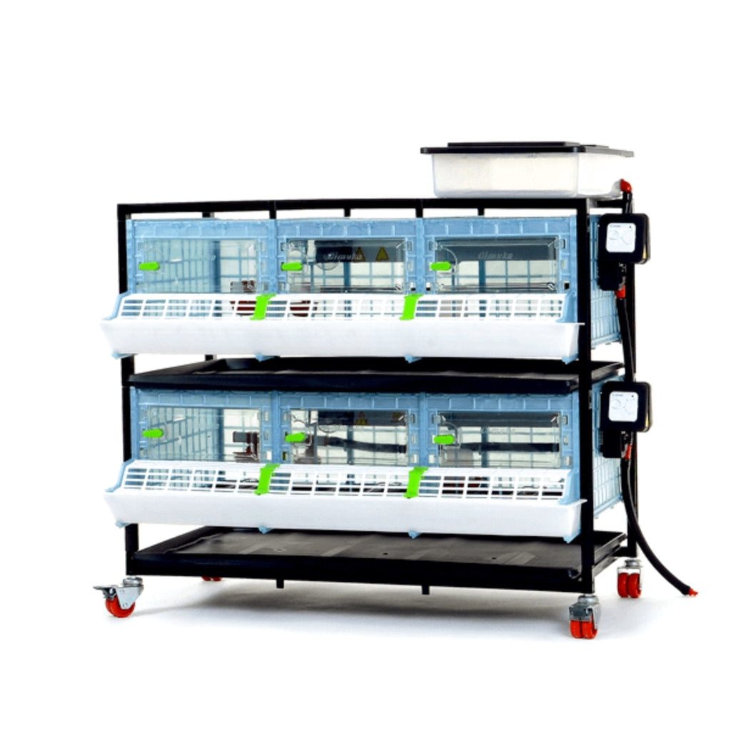 Chick Brooder - 2 Layer H: 9.5"