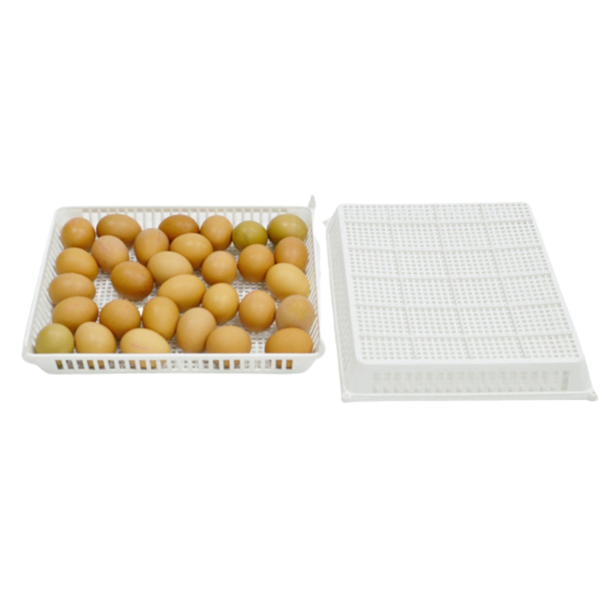 Conturn 180 Set - Automatic Egg Turners and Hatch Baskets