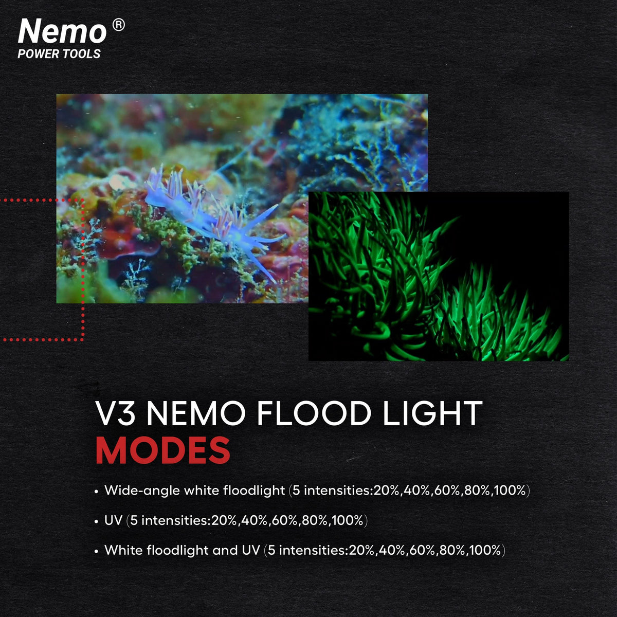 V3 Nemo Flood Light - 15000 Lumens, photo 5