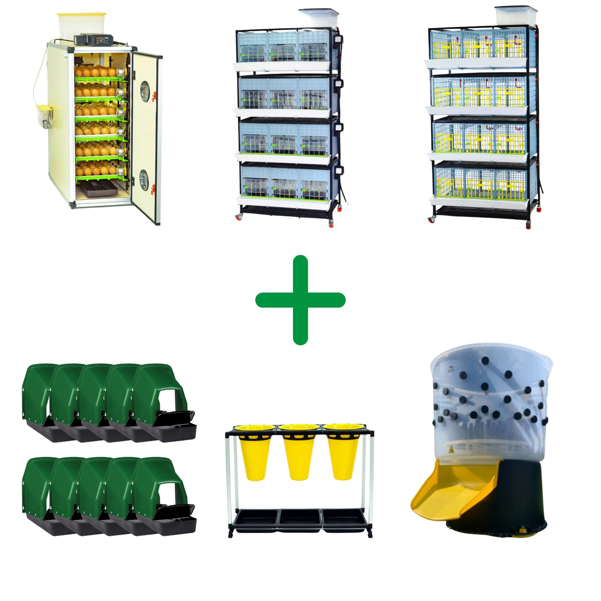 Free Range Chicken Pro Plus Kit - End To End Process from Hatching Time