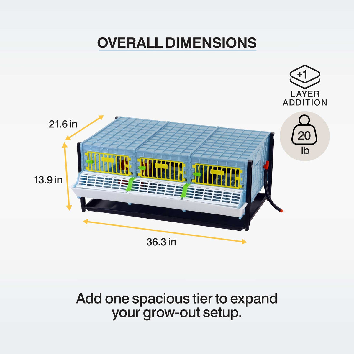 Grow Out Pen - H:9.5" Layer Addition, photo 3
