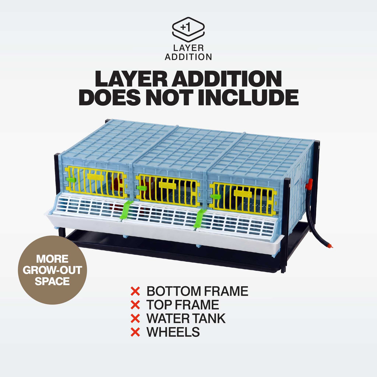 Grow Out Pen - H:9.5" Layer Addition, photo 5