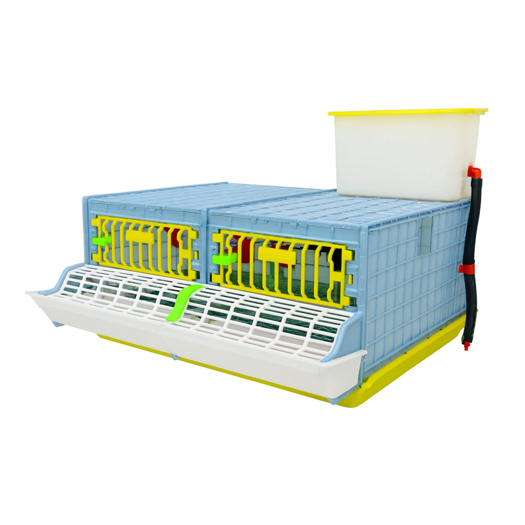 Grow Out Pen - 2 Section H:9.5"