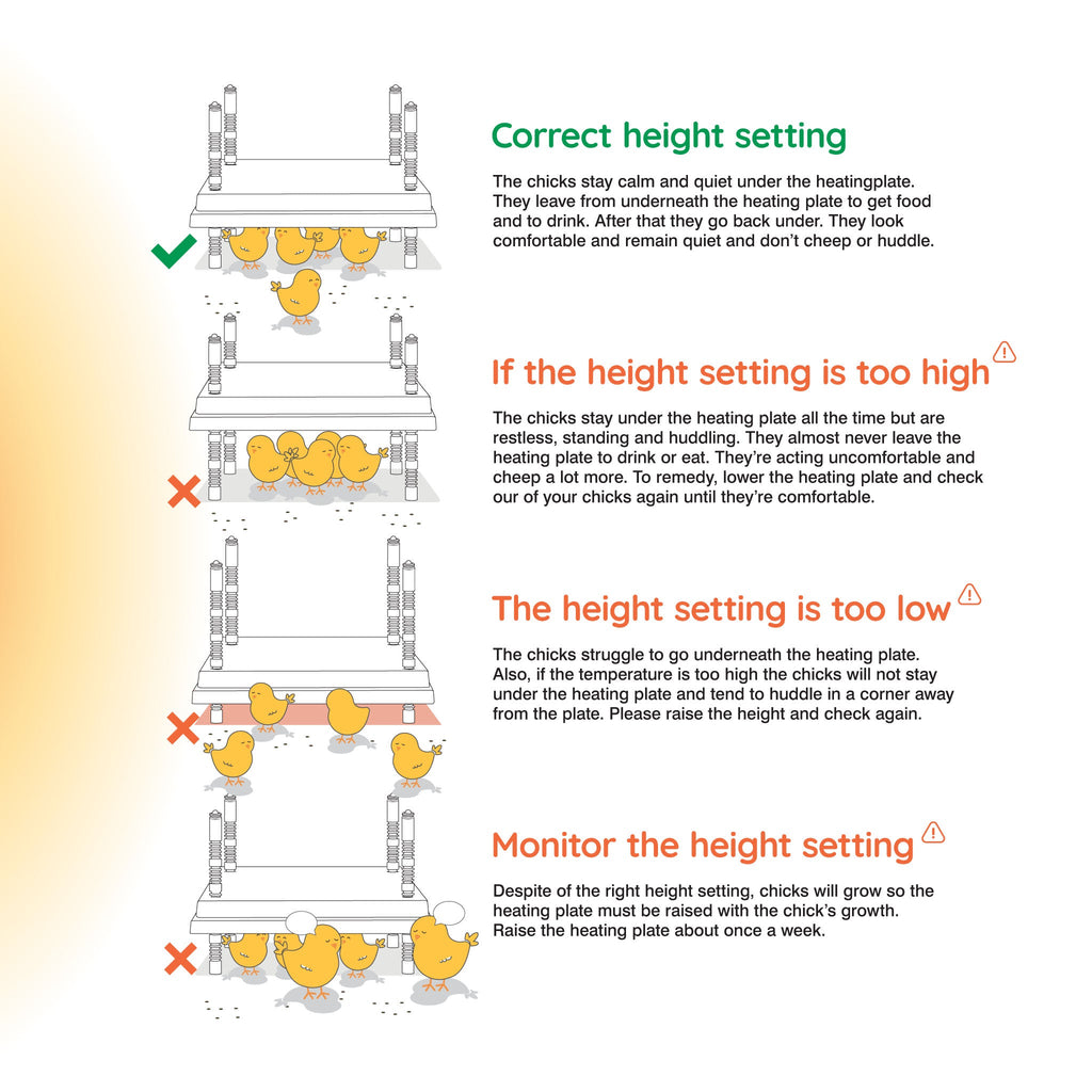 Warmzy Heating Plate (10" x 12") 20-25 chicks