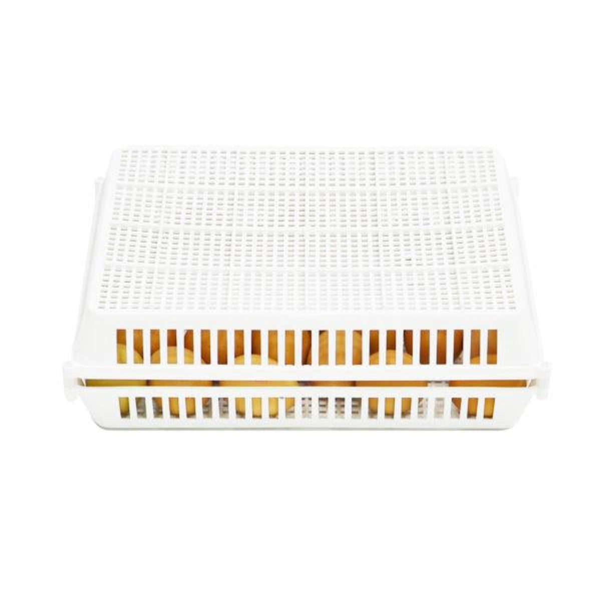 Conturn 60 Set - Automatic Egg Turners and Hatch Baskets