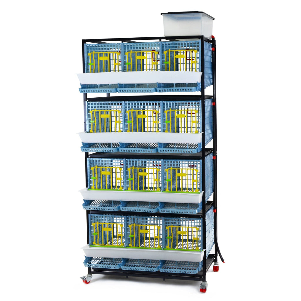 Partridge Cage - 4 Layer