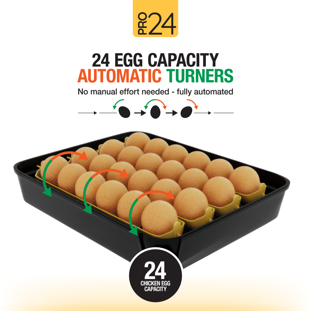 Pro24 Tabletop Automatic Egg Incubator (24 Eggs)