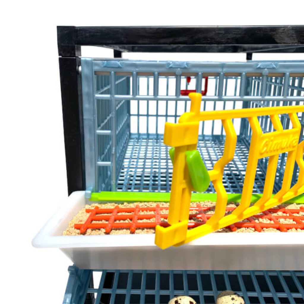 Quail Cage - Double Layer Addition