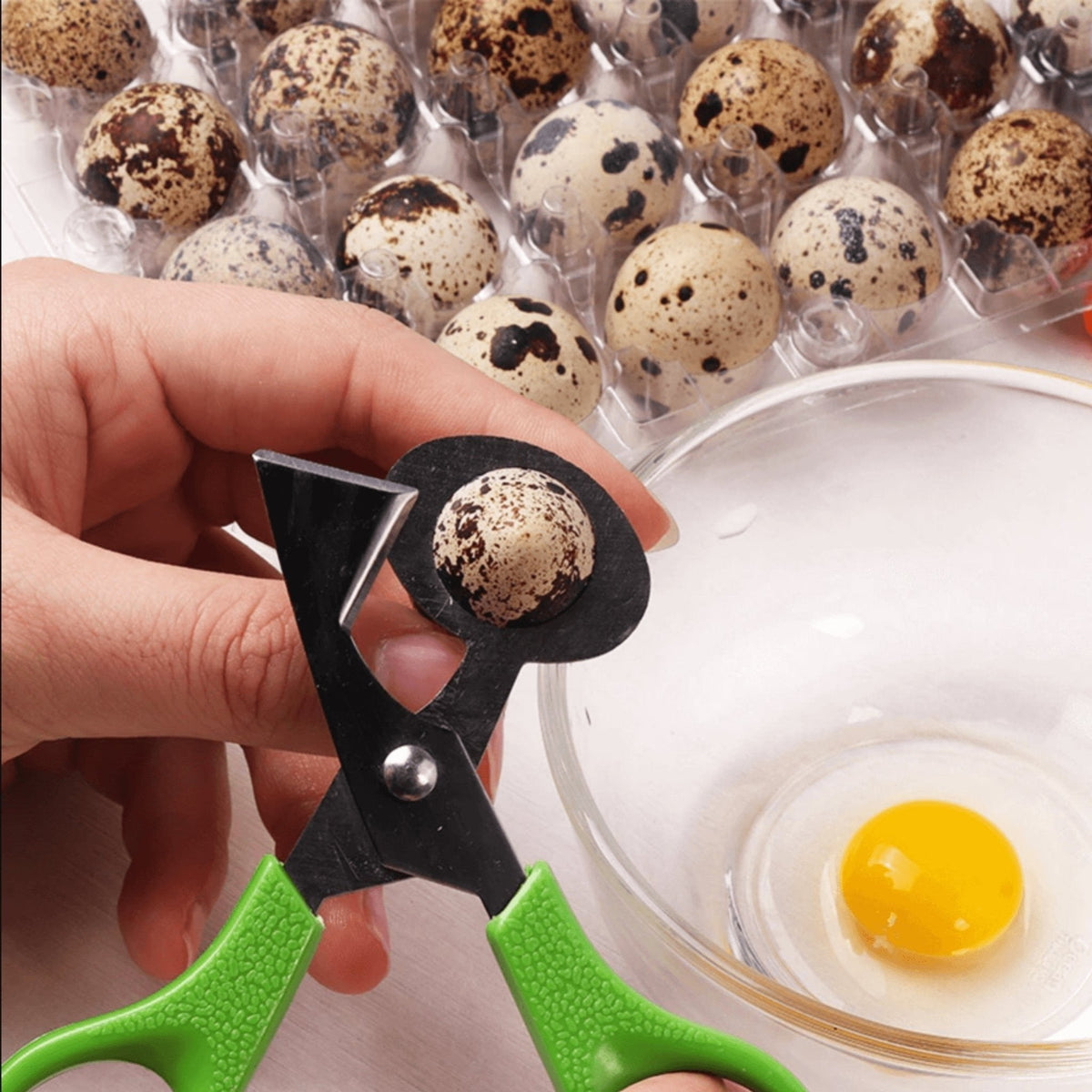 Quail Egg Scissors