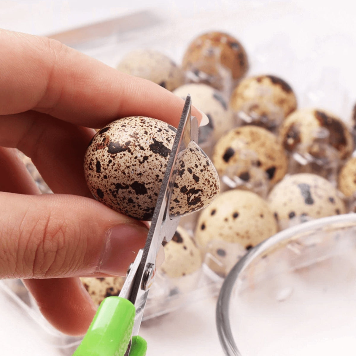 Quail Egg Scissors