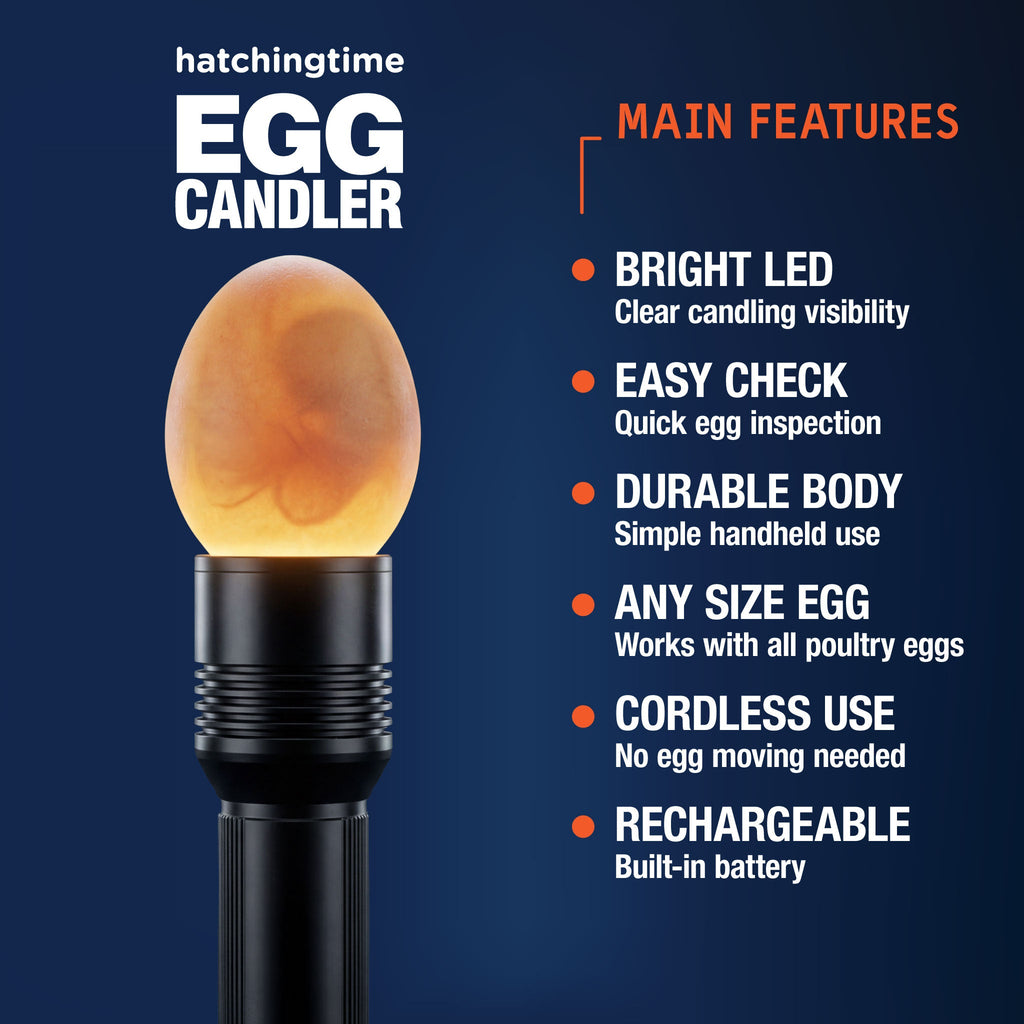 Rechargeable LED Egg Candler