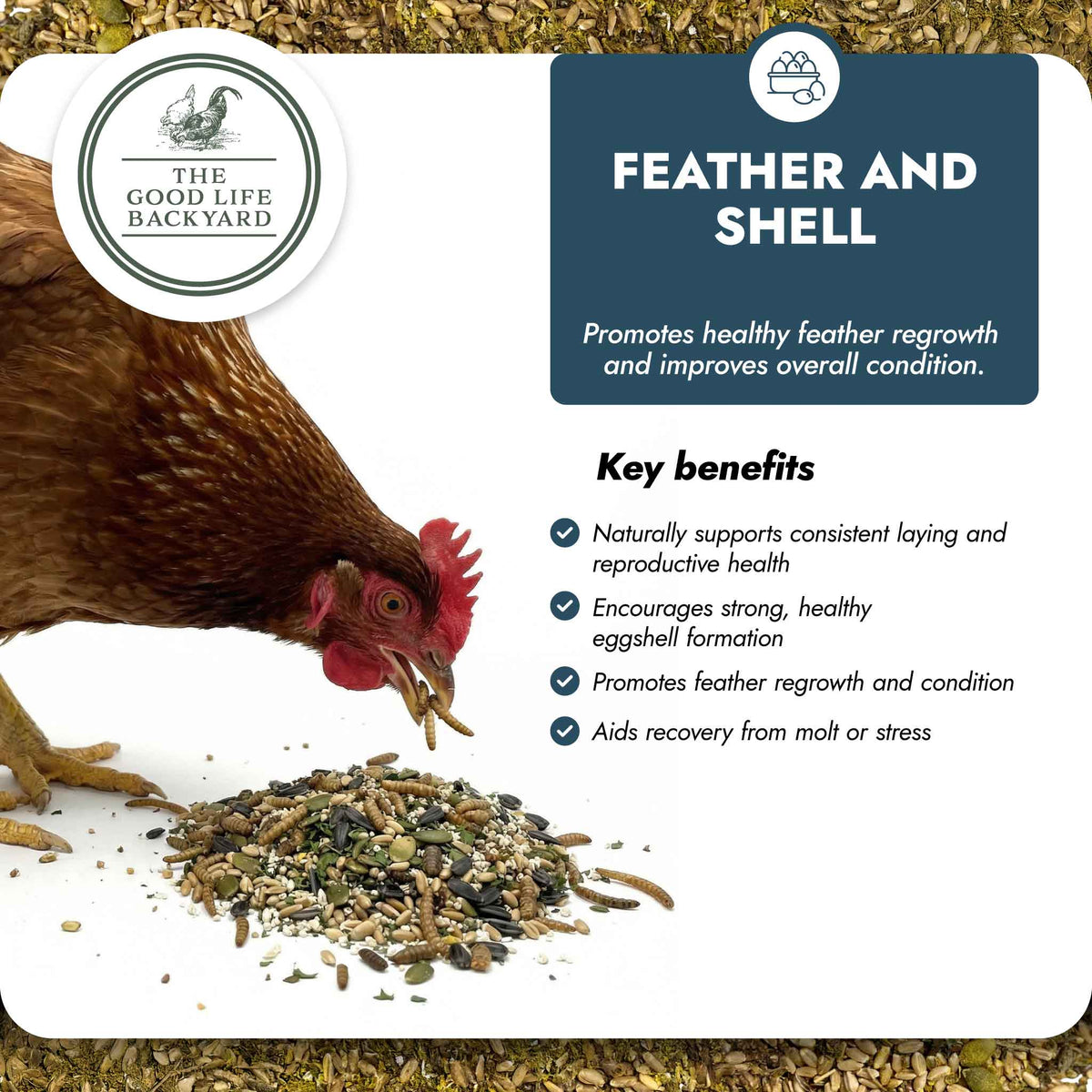 Feather and Shell - Calci-Protein Blend (Chicken Feed Additive), photo 4