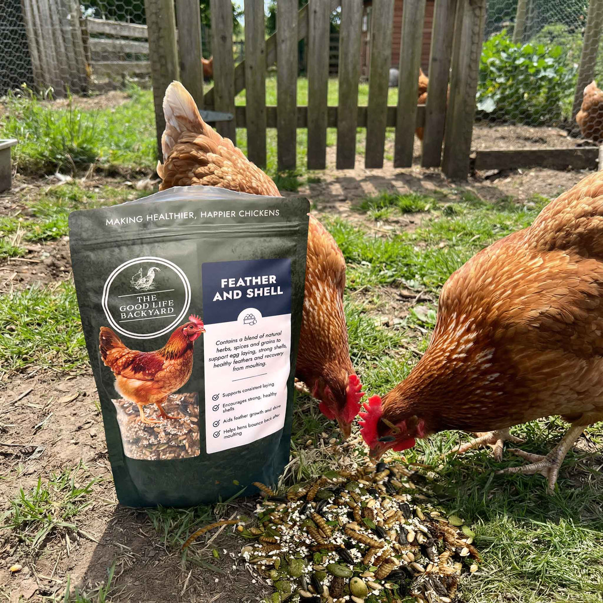 Feather and Shell - Calci-Protein Blend (Chicken Feed Additive), photo 11