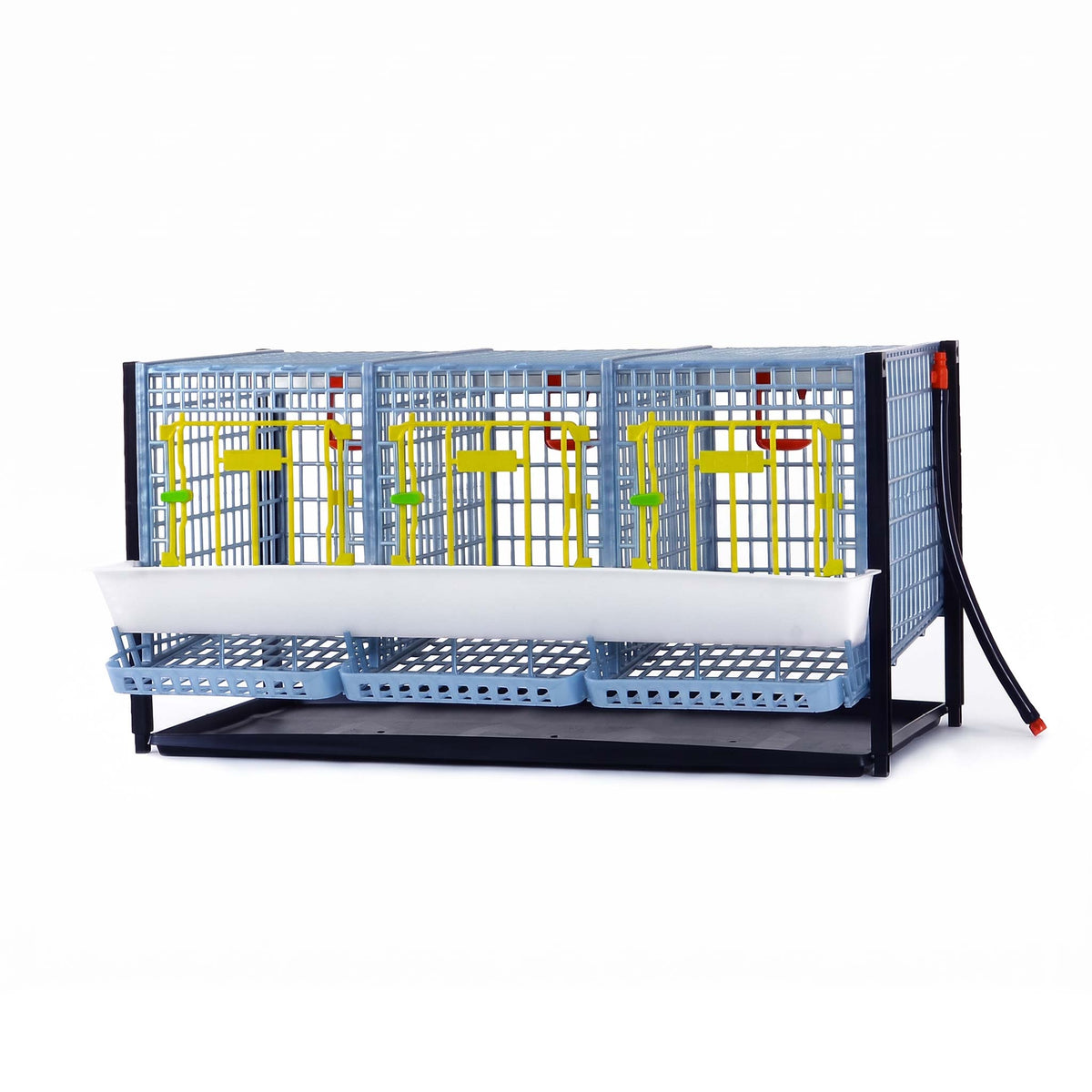 Chicken Cage - H: 15" Layer Addition from Hatching Time