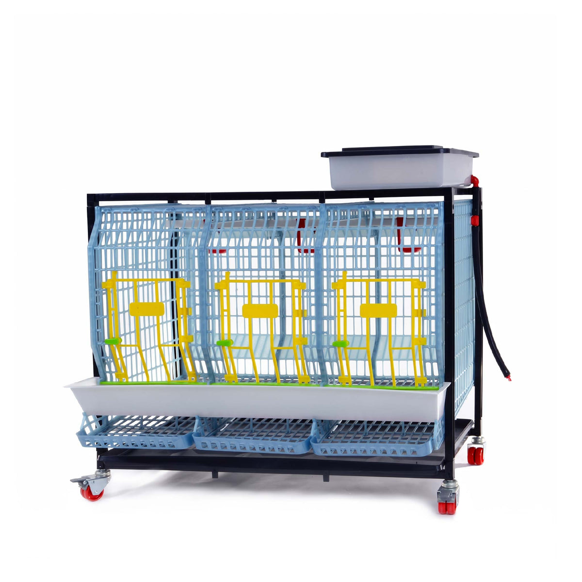 Chicken Cage - 1 Layer H: 22" from Hatching Time