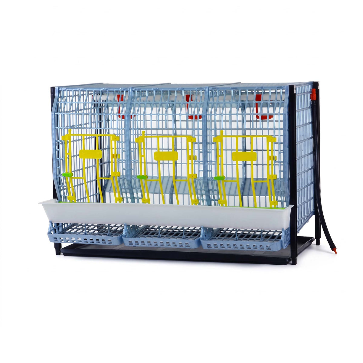 Chicken Cage - H: 22" Layer Addition from Hatching Time