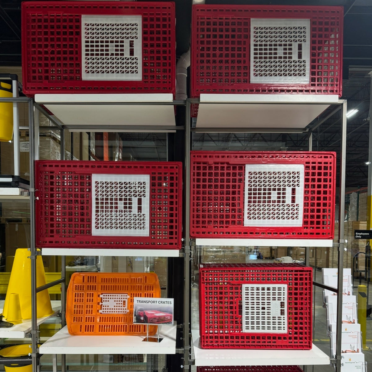 Chicken Transport Coop (Large) with 3 Doors