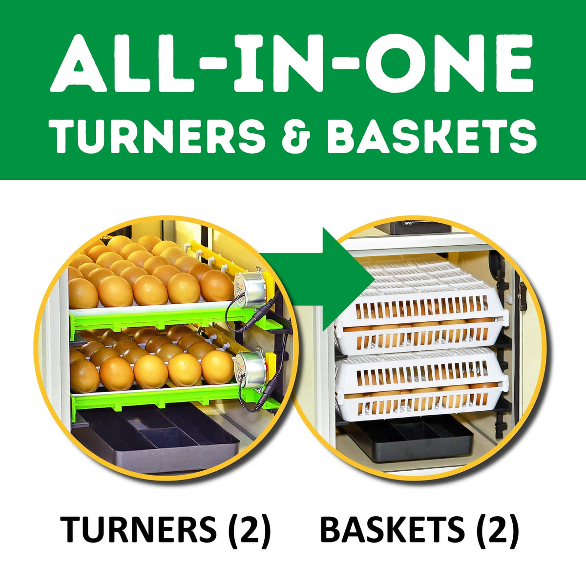 CT60 SH - Egg Incubator - Setter & Hatcher