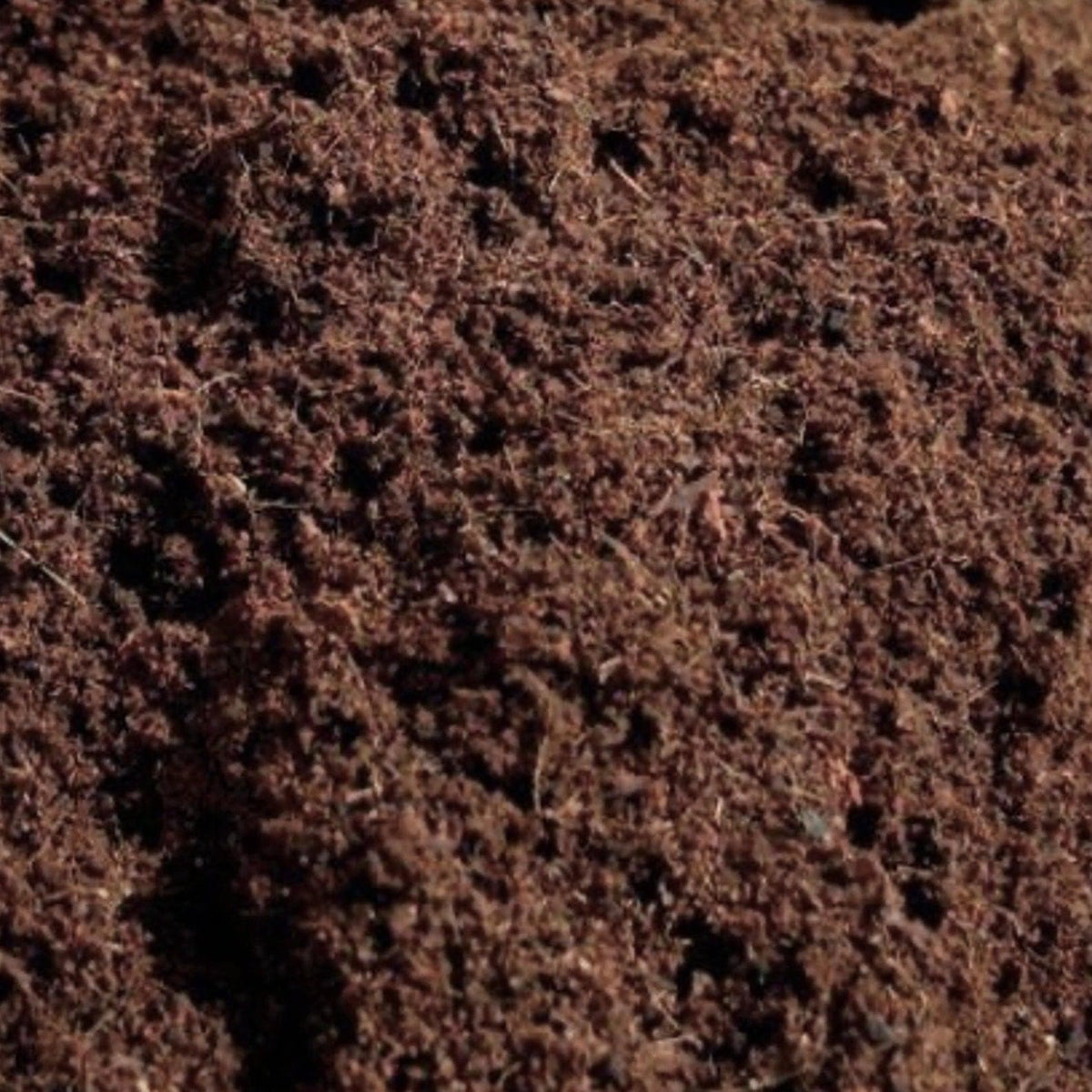 Myco Coco' Loose Coco Coir Substrate & Casing Layer